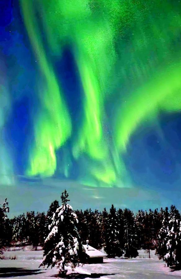 Northern Lights Lapland Villa Hosio Екстериор снимка