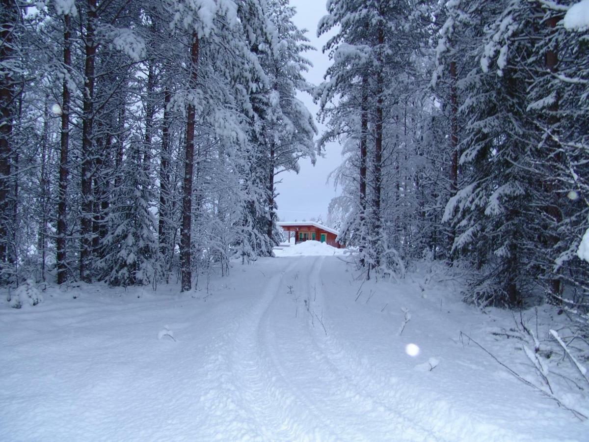 Northern Lights Lapland Villa Hosio Екстериор снимка